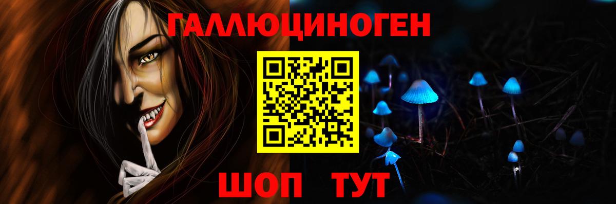 Псилоцибиновые грибы Psilocybe  Псилоцибиновые грибы мухоморы  Алексин  Вход с VPN 